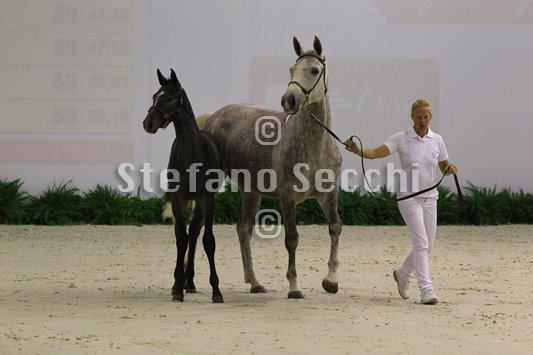 CA D ORO_MILANO_2010_SS3_3965.jpg